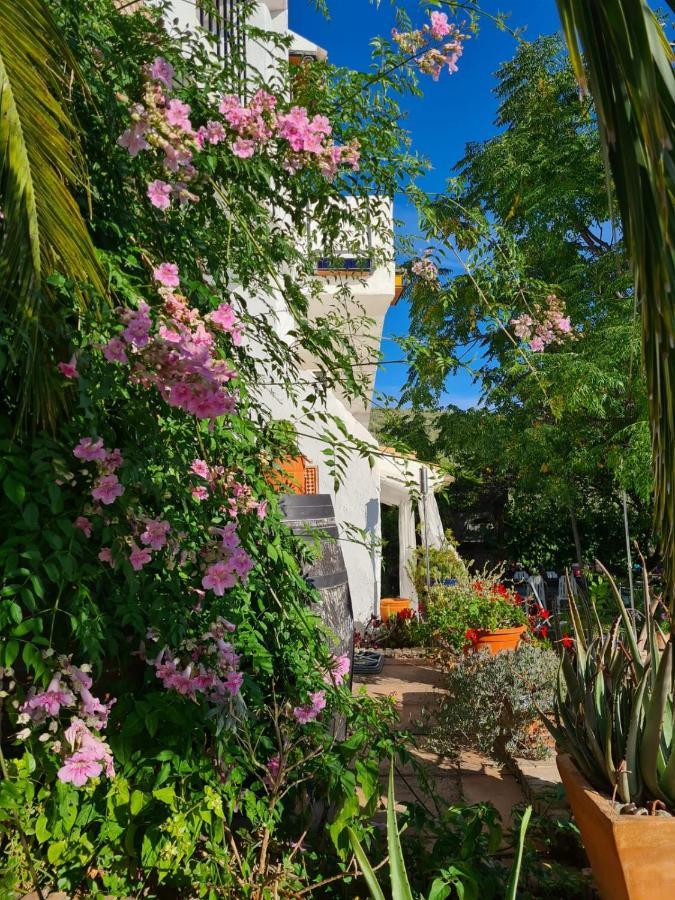 Cortijo La Haza Bed and Breakfast Iznájar Εξωτερικό φωτογραφία