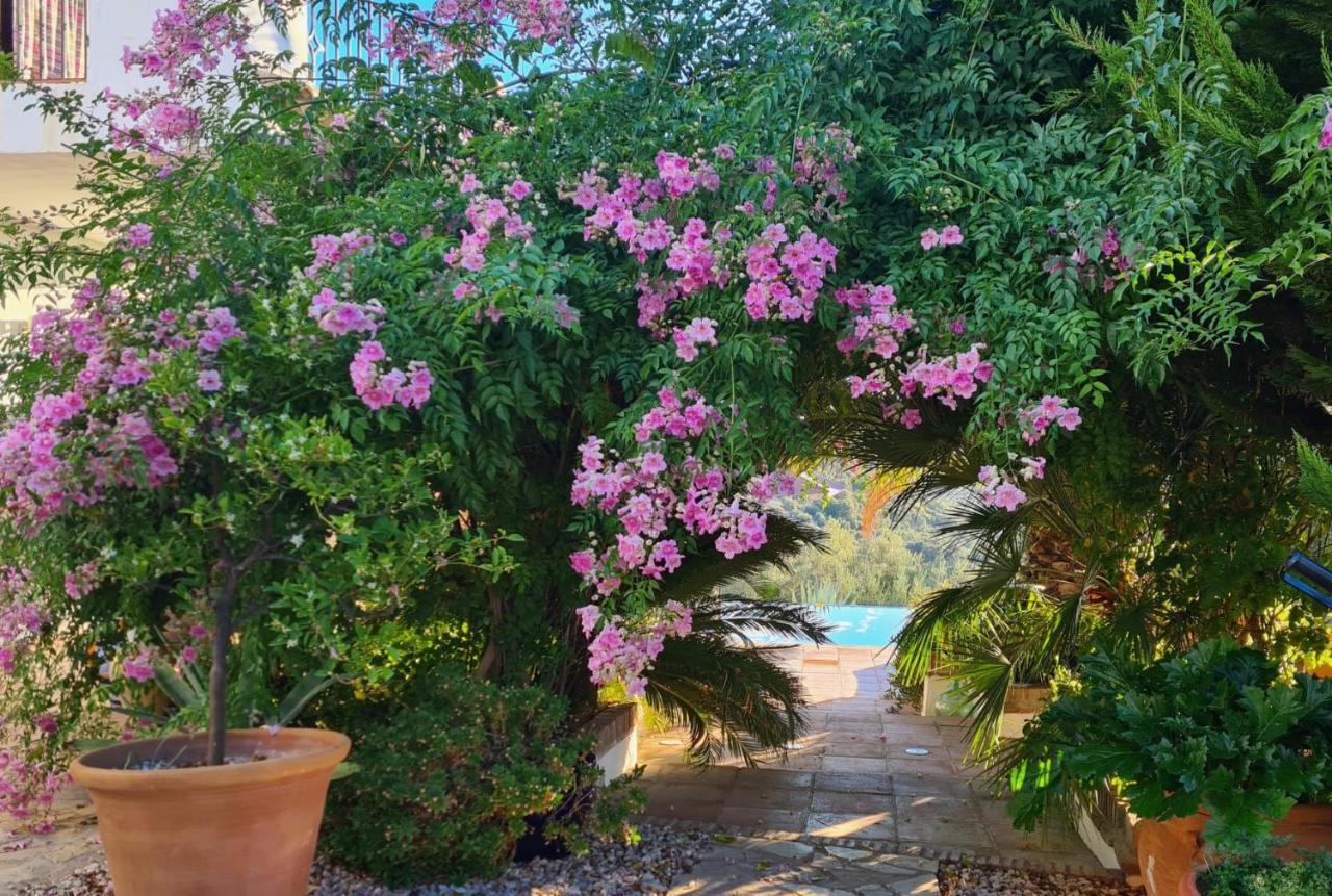Cortijo La Haza Bed and Breakfast Iznájar Εξωτερικό φωτογραφία
