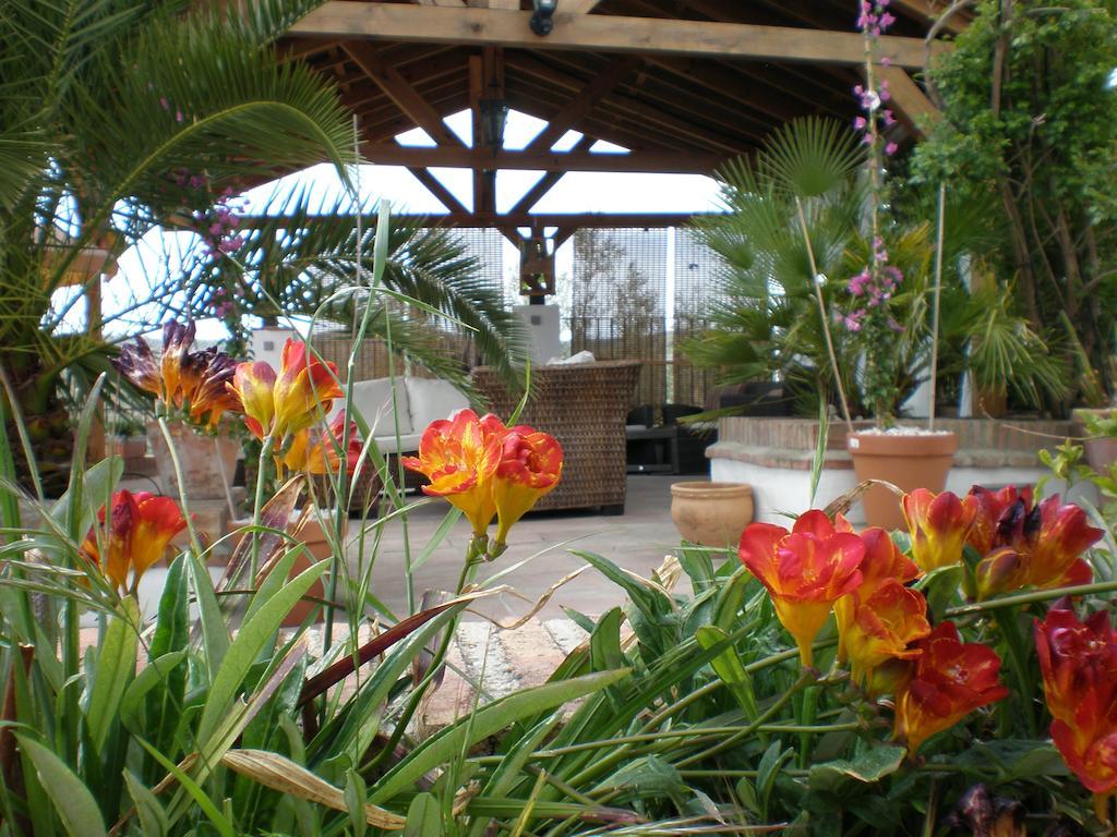 Cortijo La Haza Bed and Breakfast Iznájar Εξωτερικό φωτογραφία